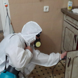 Дезинфекция от муравьев в квартире Крестьянская застава метро Москвы