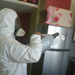 Уничтожение насекомых в квартире. Крестьянская застава